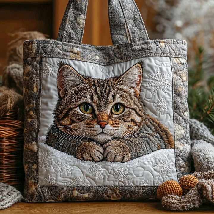 Klassinen Tabby Kassi