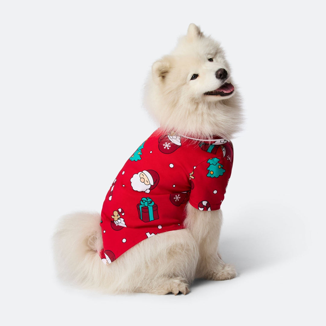 Punainen xmas-joulupyjama koiralle
