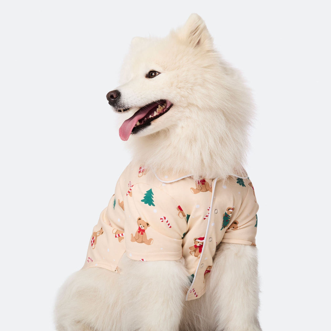 Beige nalle-joulupyjama koiralle