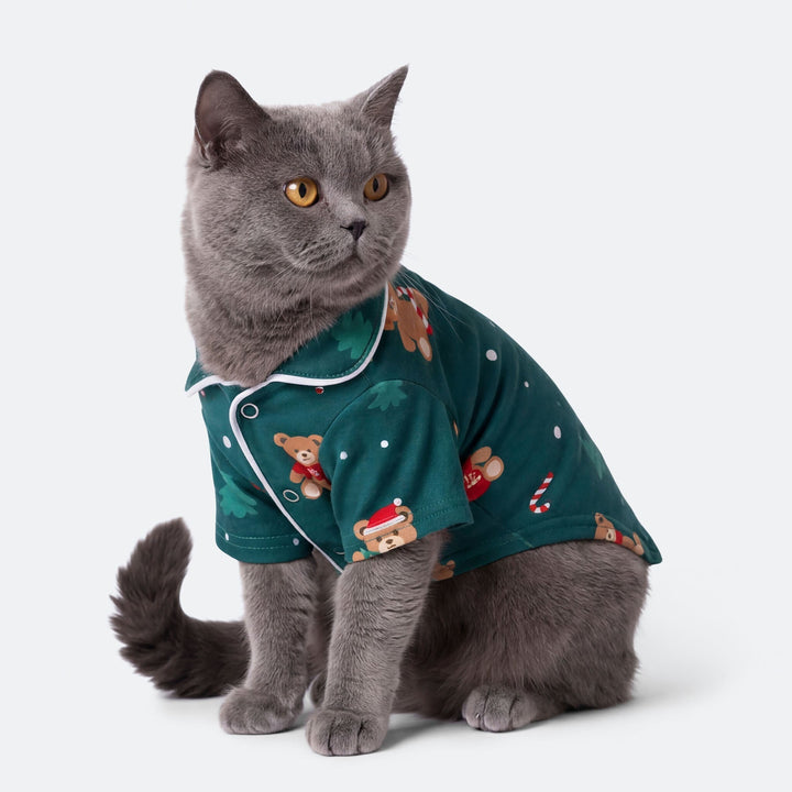 Vihreä nalle-joulupyjama kissalle