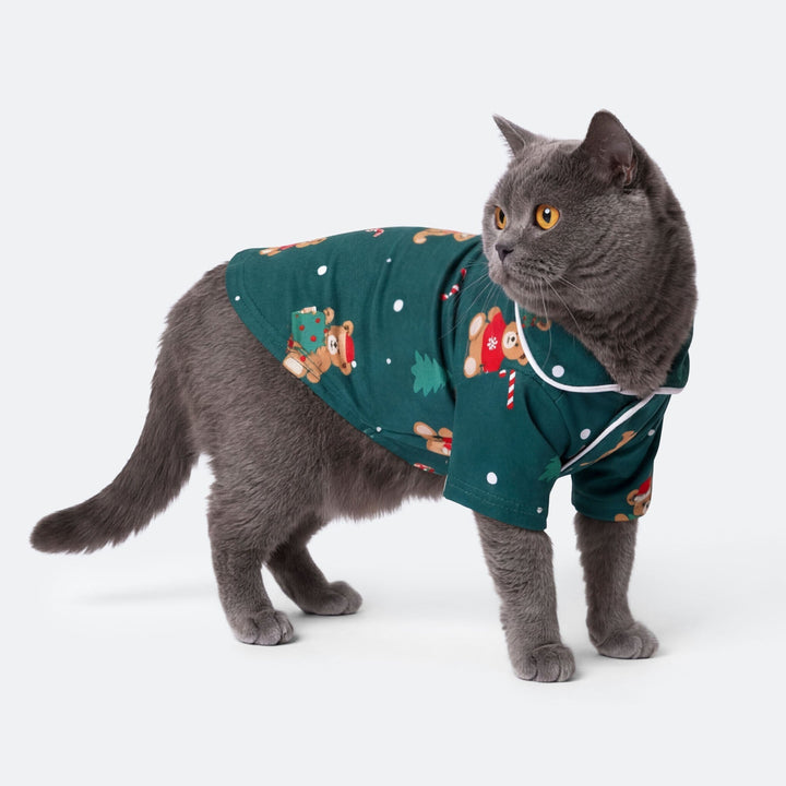 Vihreä nalle-joulupyjama kissalle