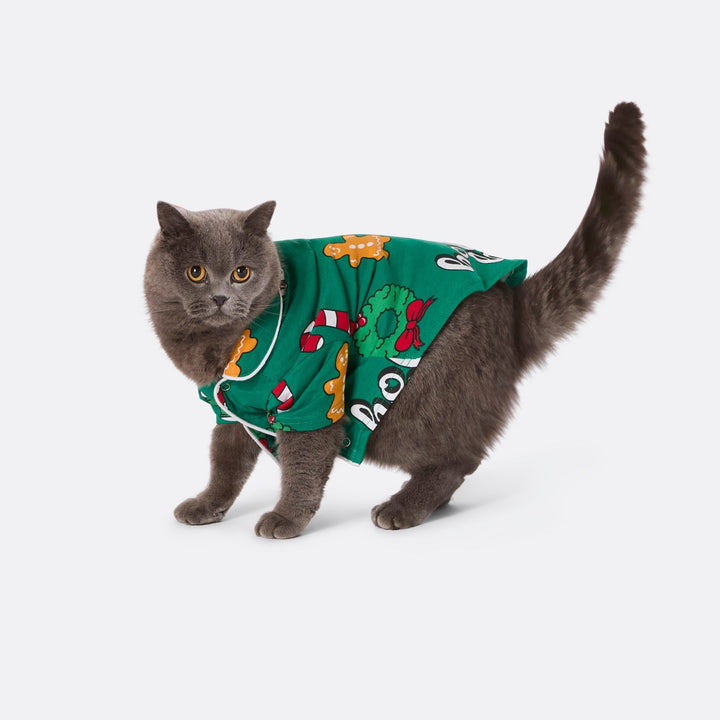 Vihreä hohoho-joulupyjama kissalle